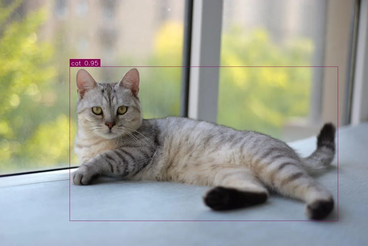 Pipeline for Training RF-DETR Object Detection Models